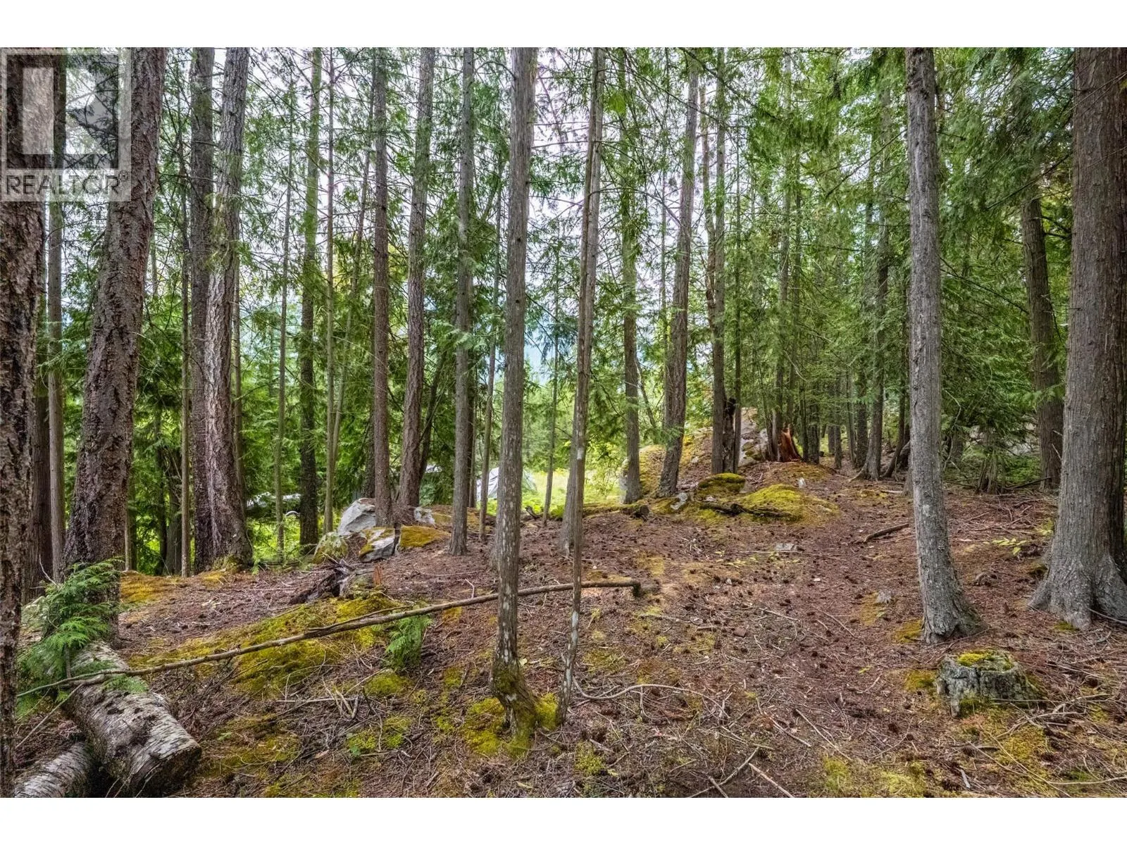 183 Kootenay Lake Road