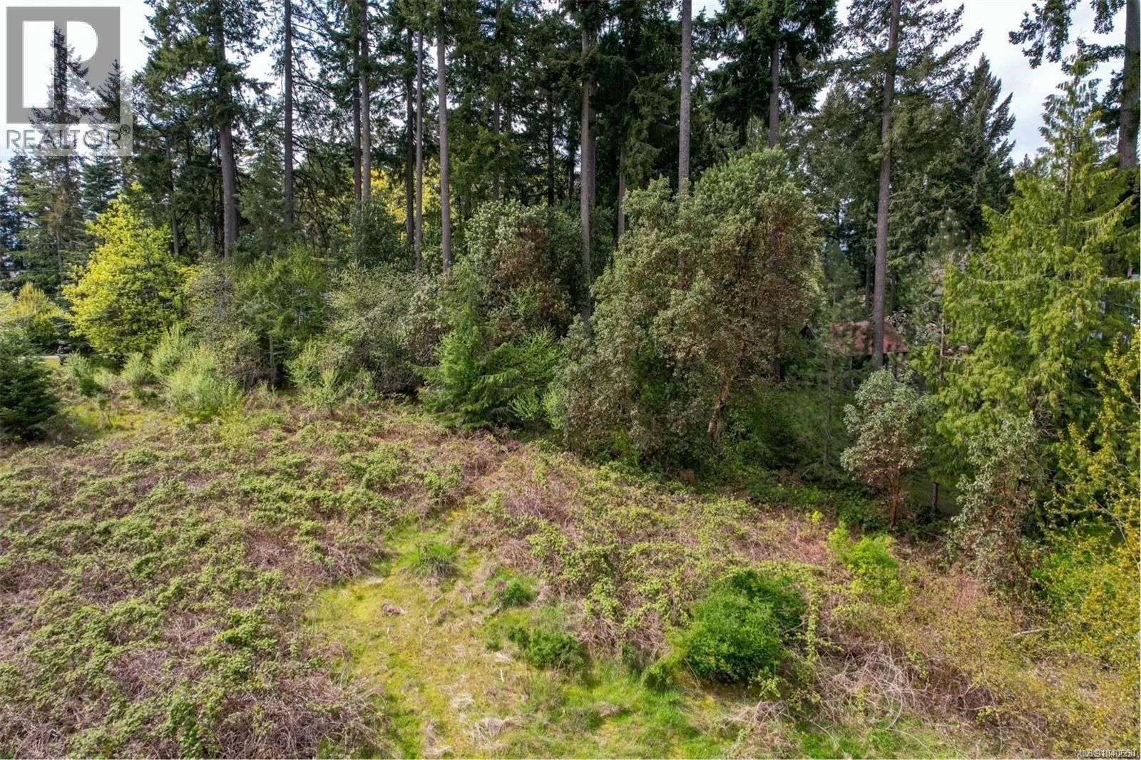 Lot 1 Alma Rd