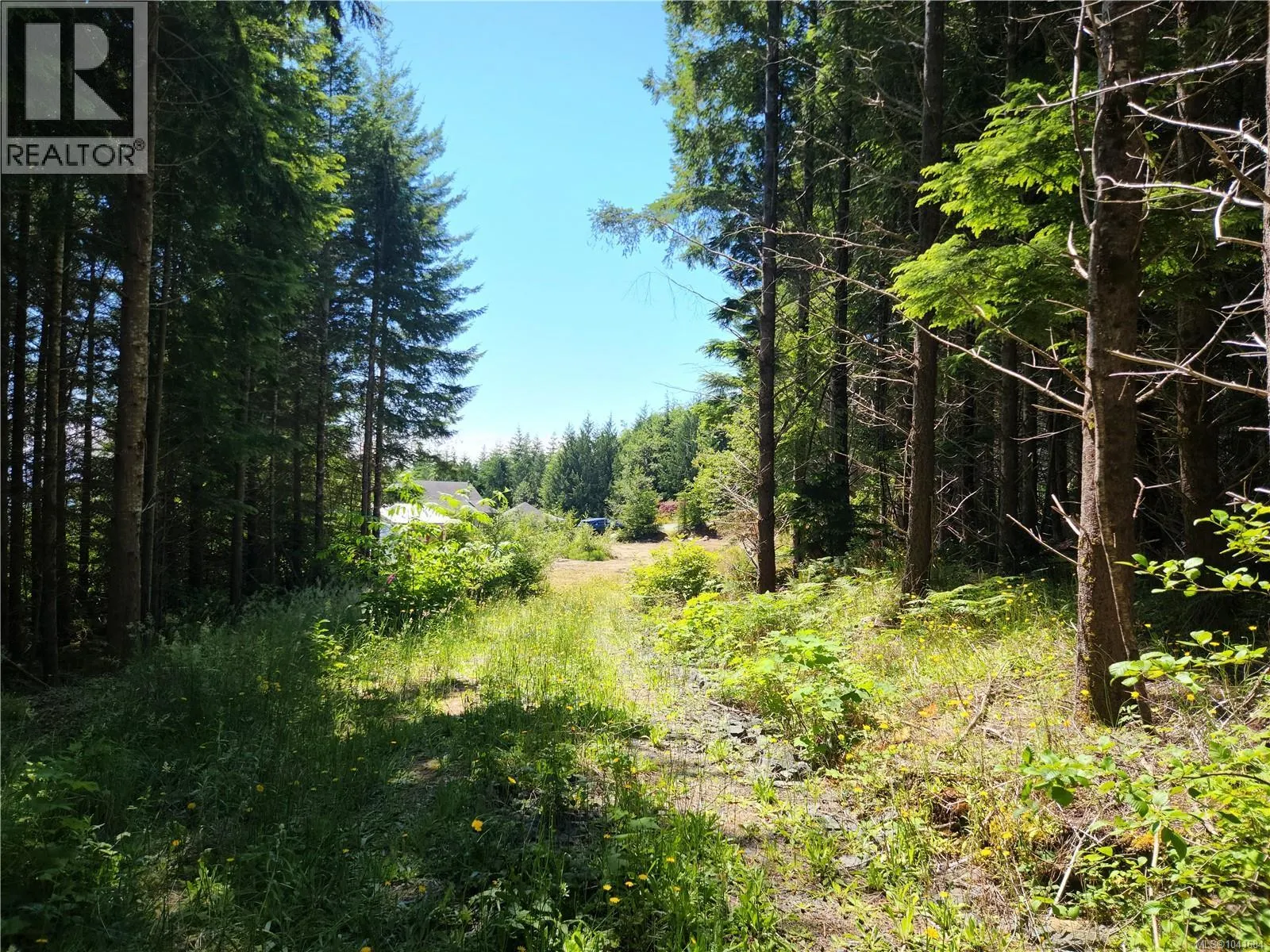 1 Timberline Way
