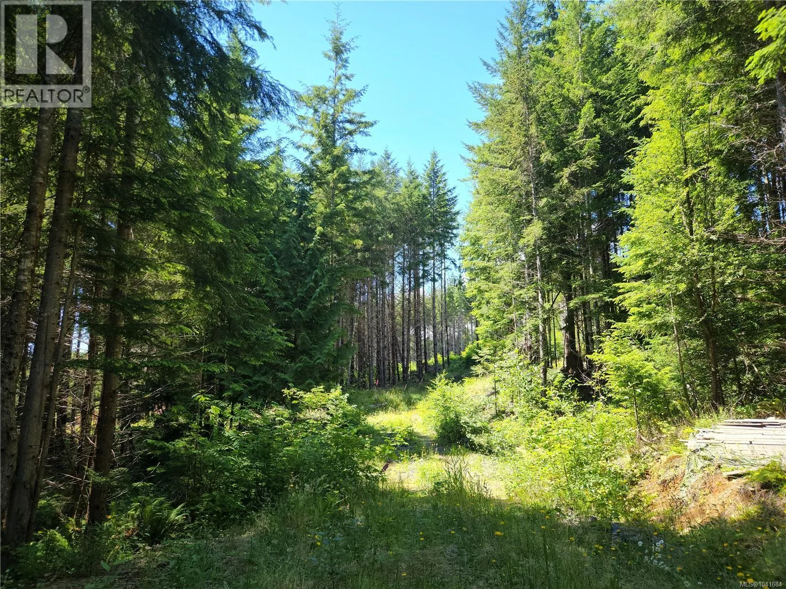 1 Timberline Way