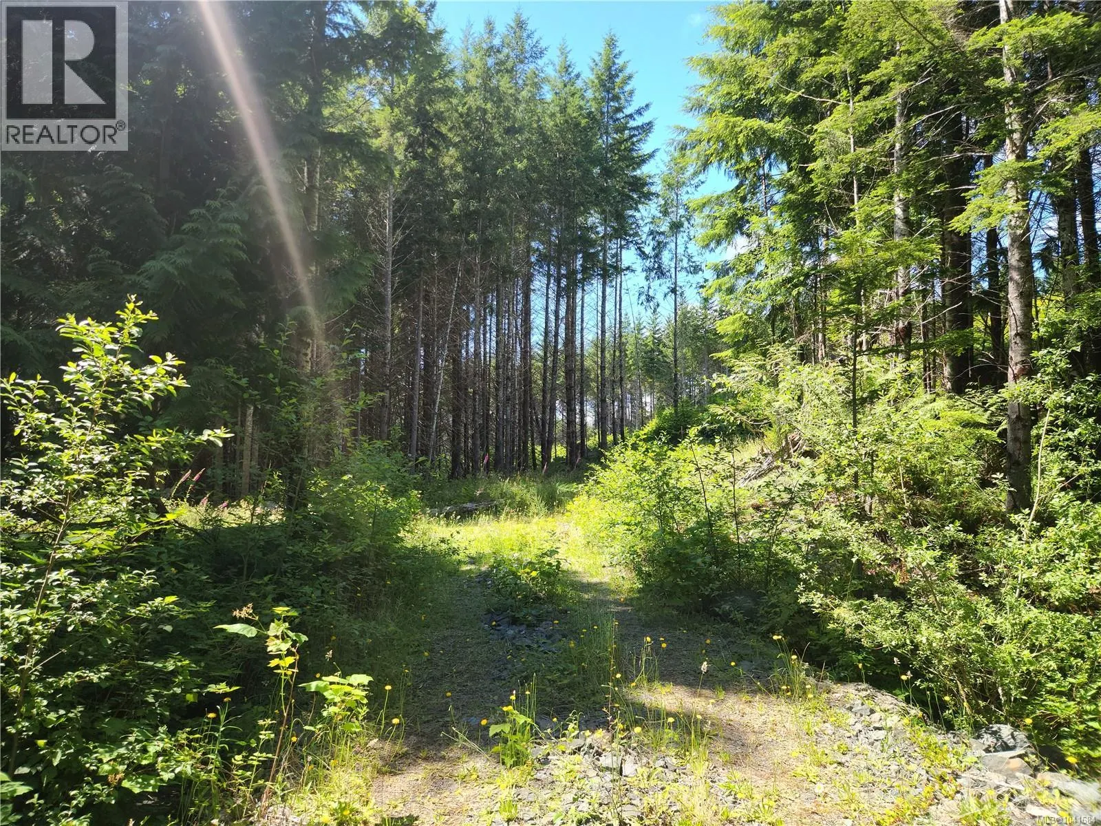 1 Timberline Way