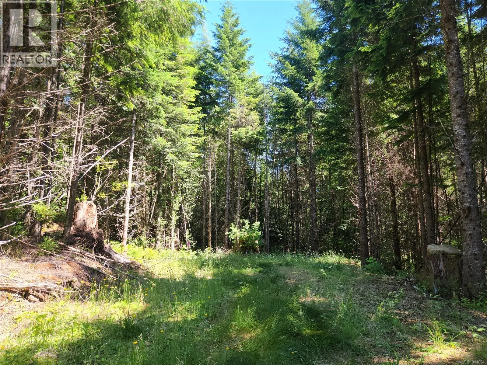 1 Timberline Way