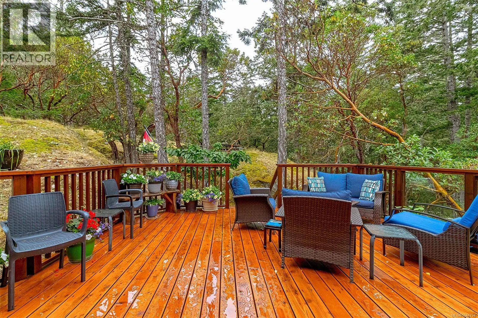 266 Moss Hill Pl