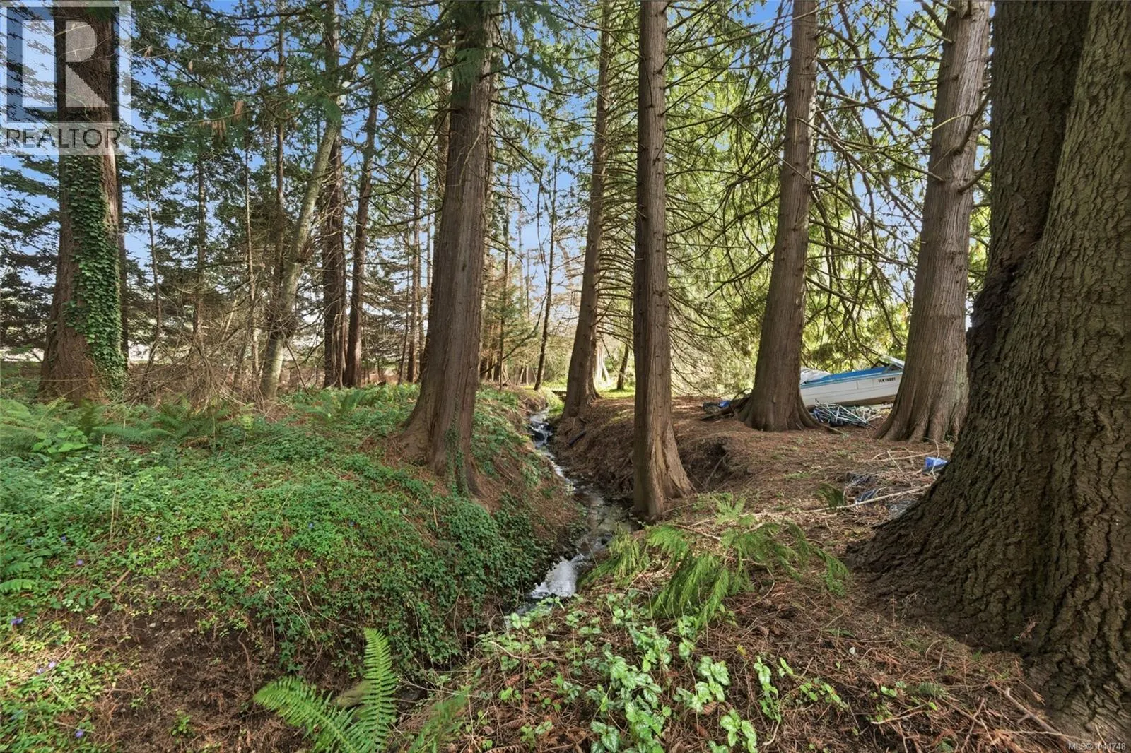 559 Johnstone Rd