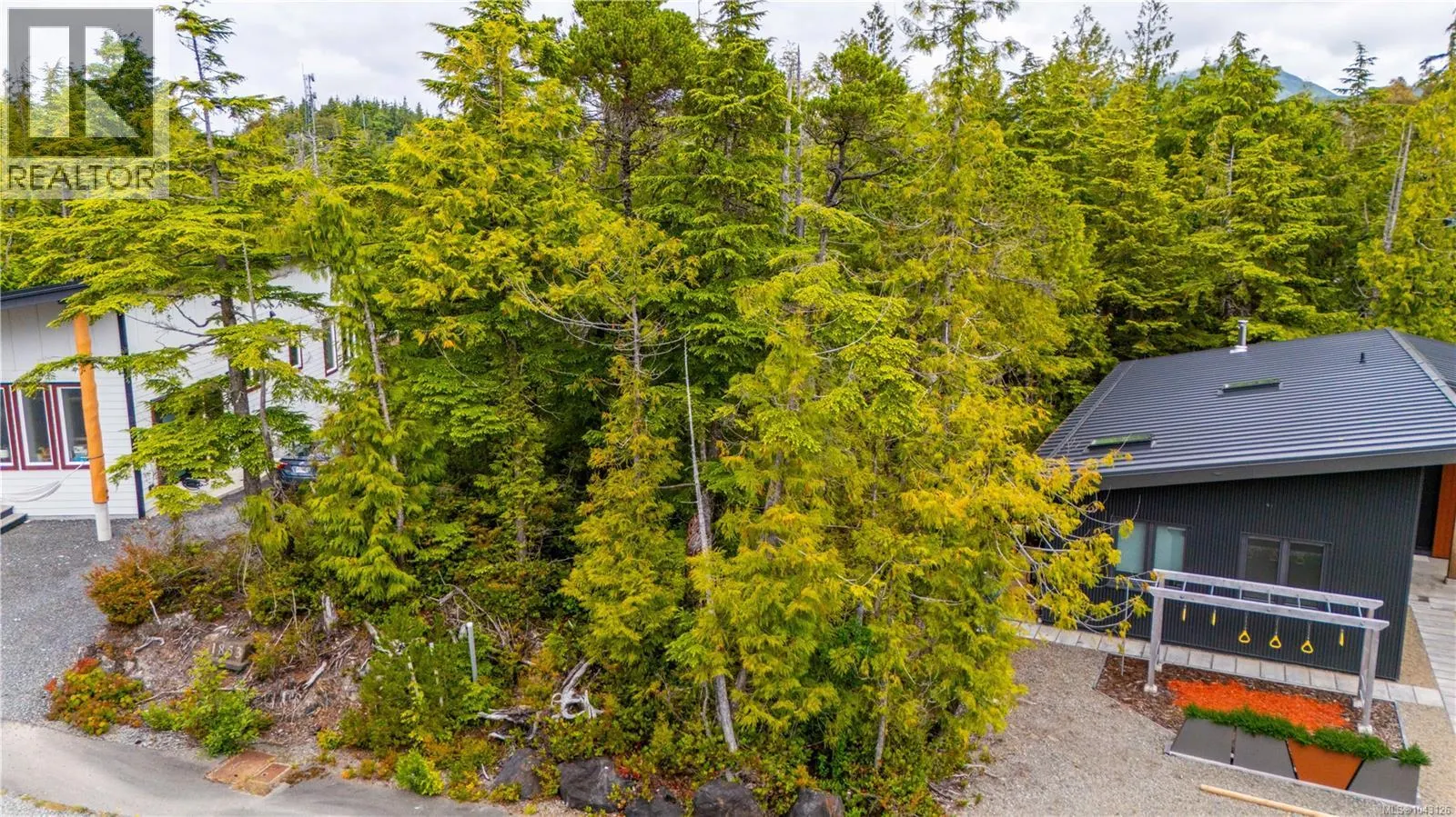 Lot 50 Cedar Grove