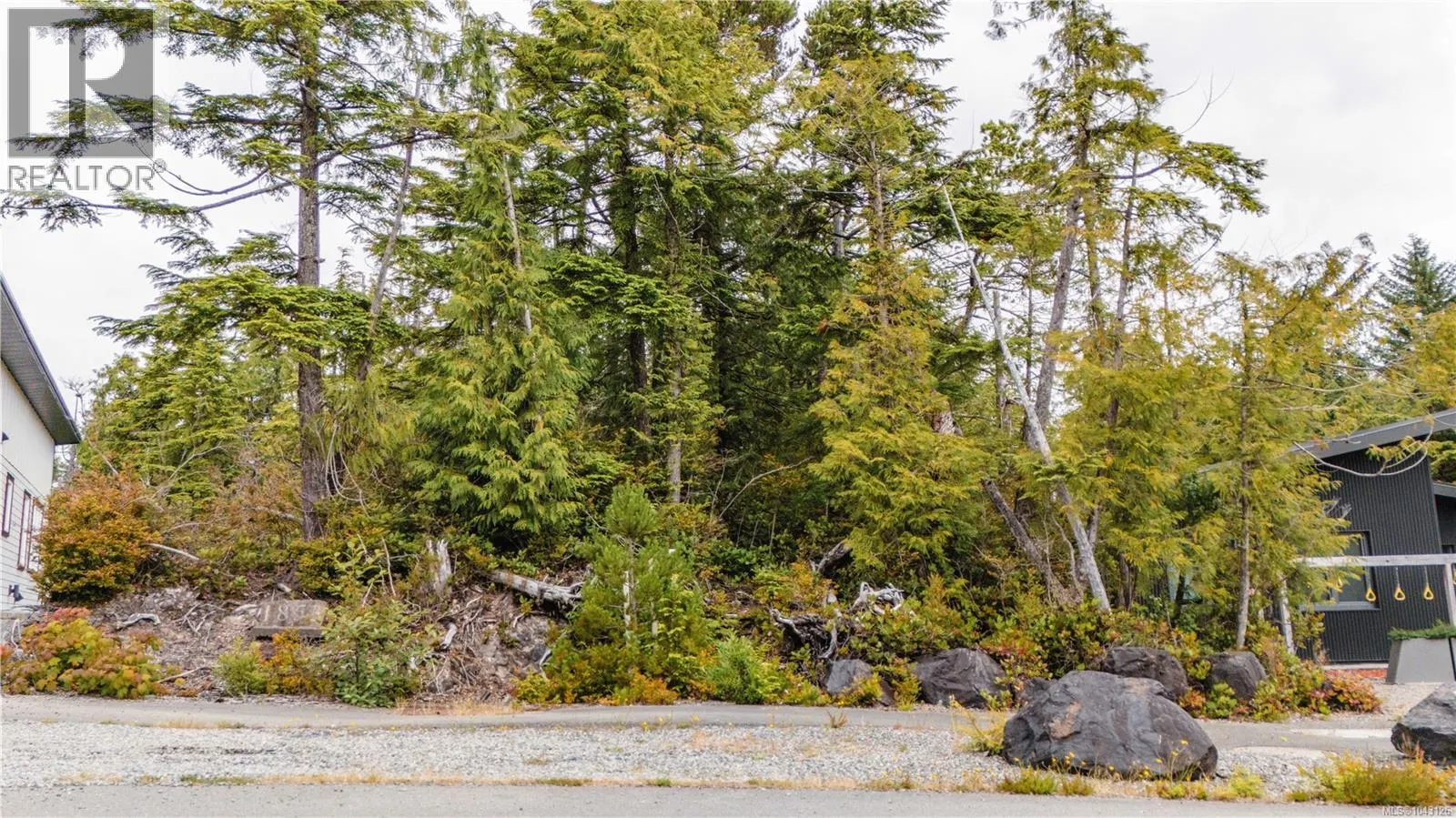Lot 50 Cedar Grove