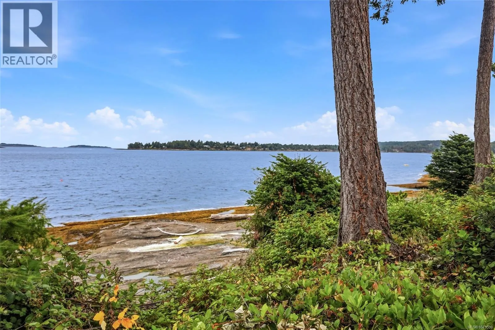1432 Madrona Dr