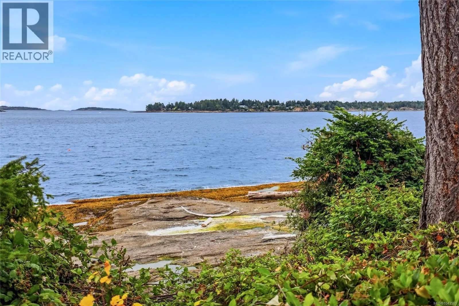1432 Madrona Dr