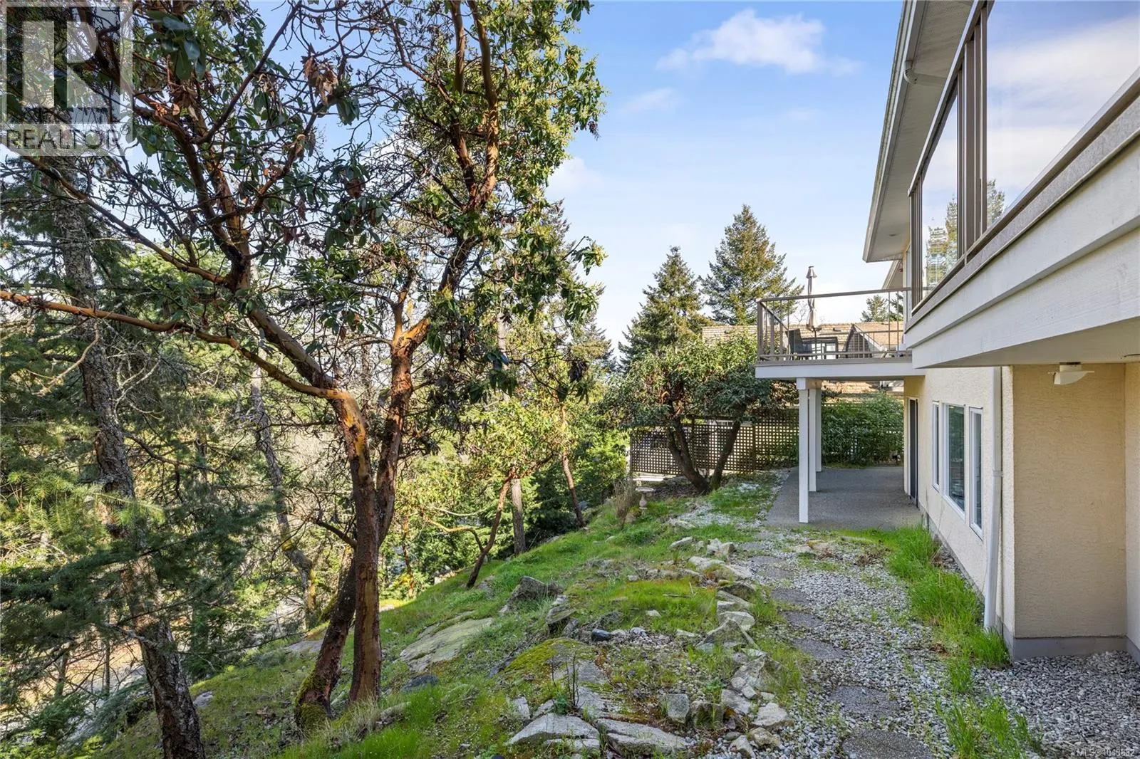 3541 Shelby Lane