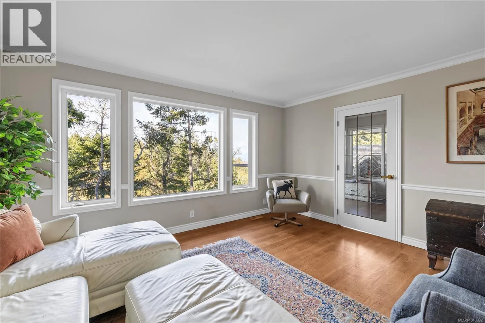 3541 Shelby Lane