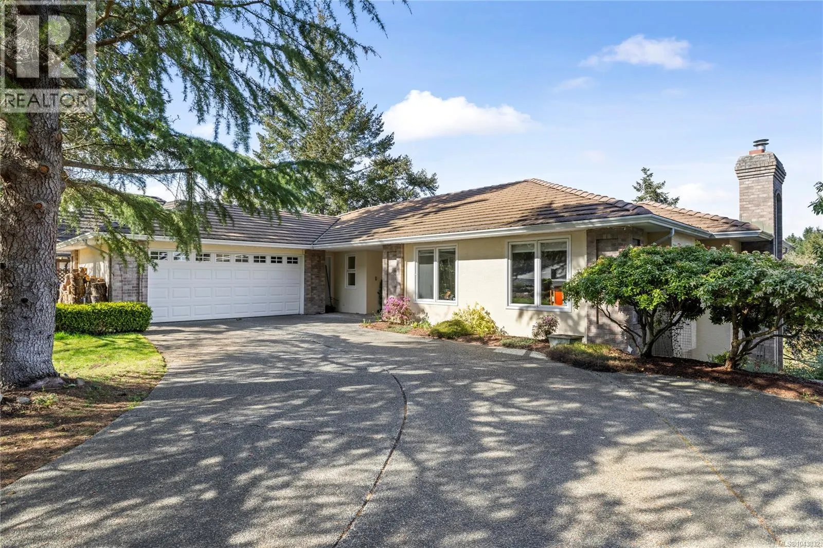 3541 Shelby Lane