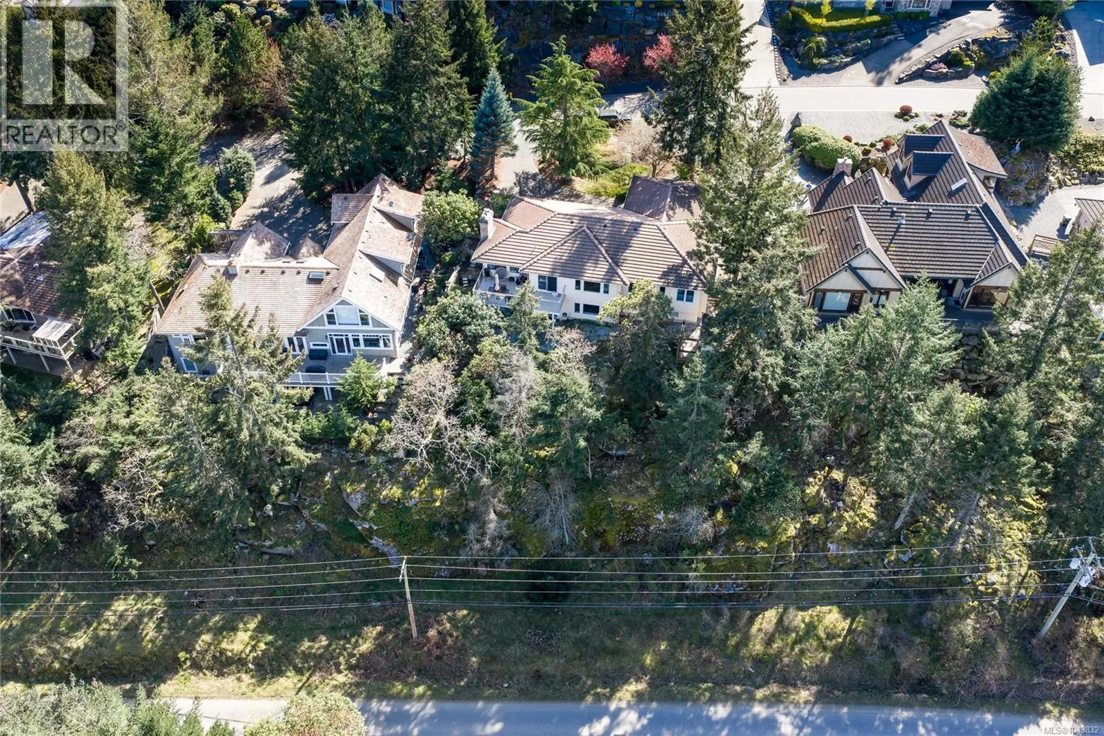 3541 Shelby Lane