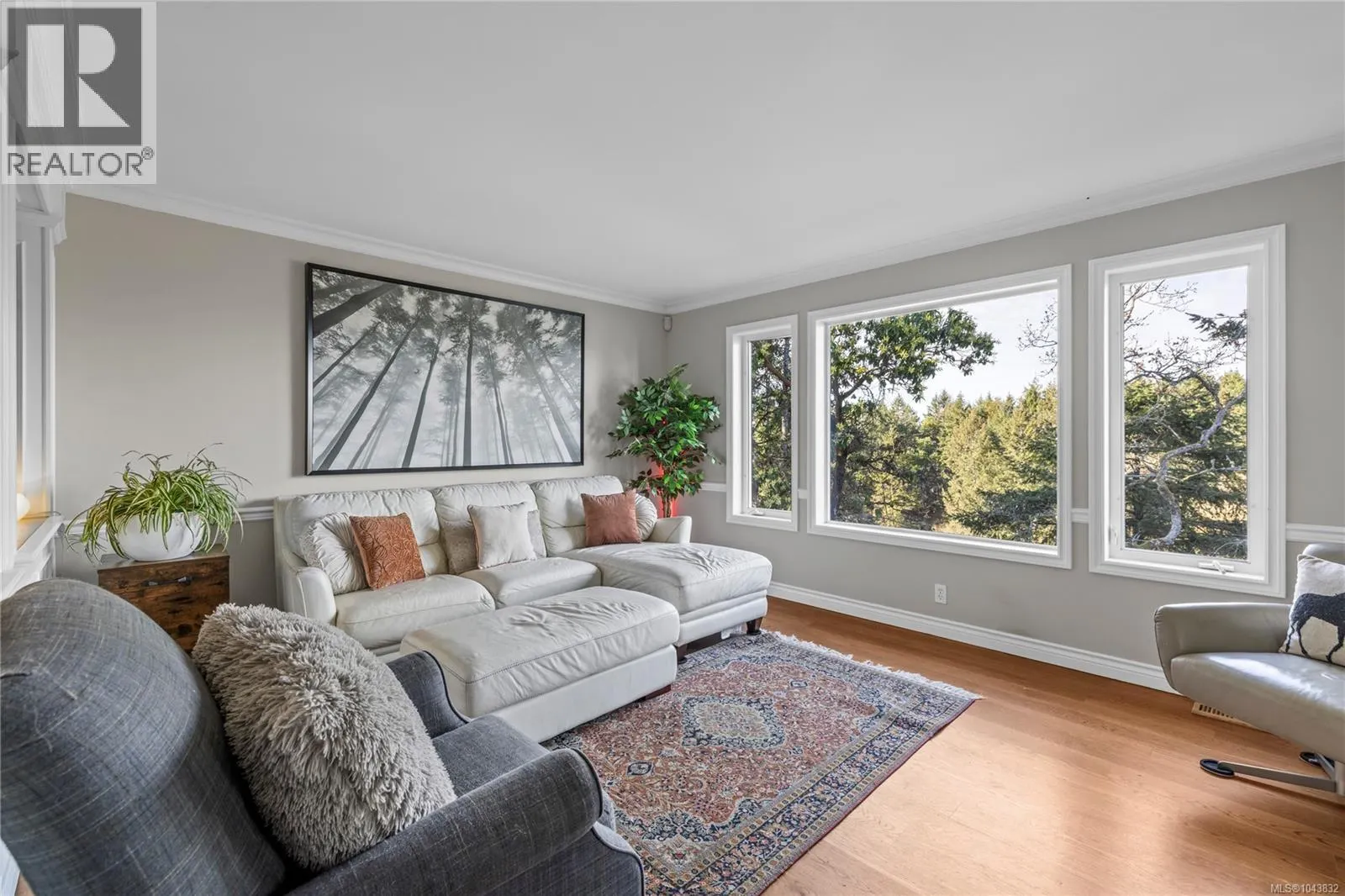 3541 Shelby Lane