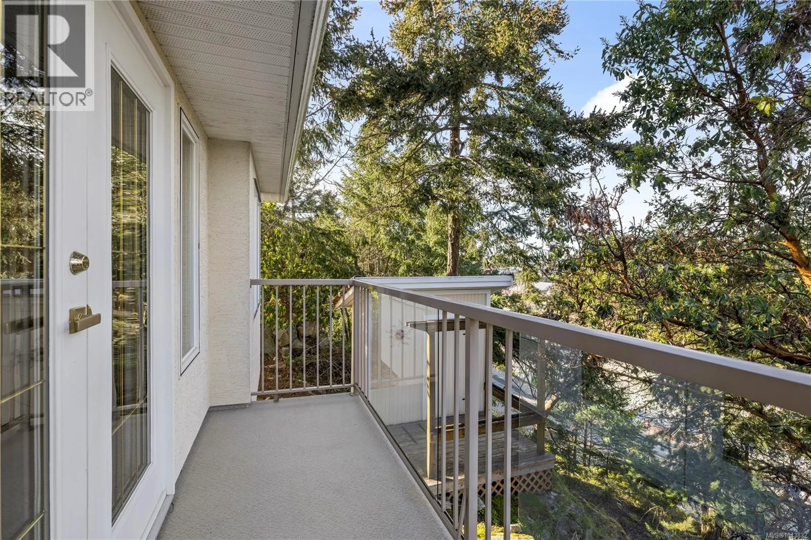 3541 Shelby Lane