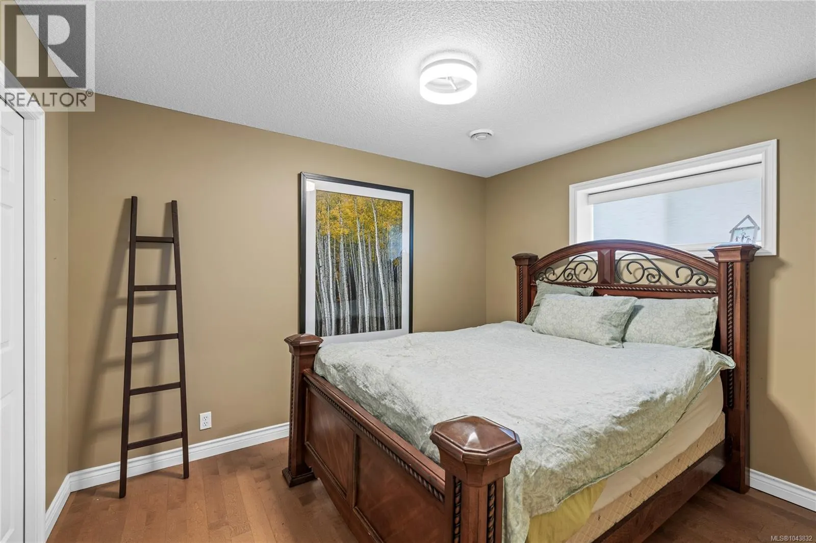 3541 Shelby Lane