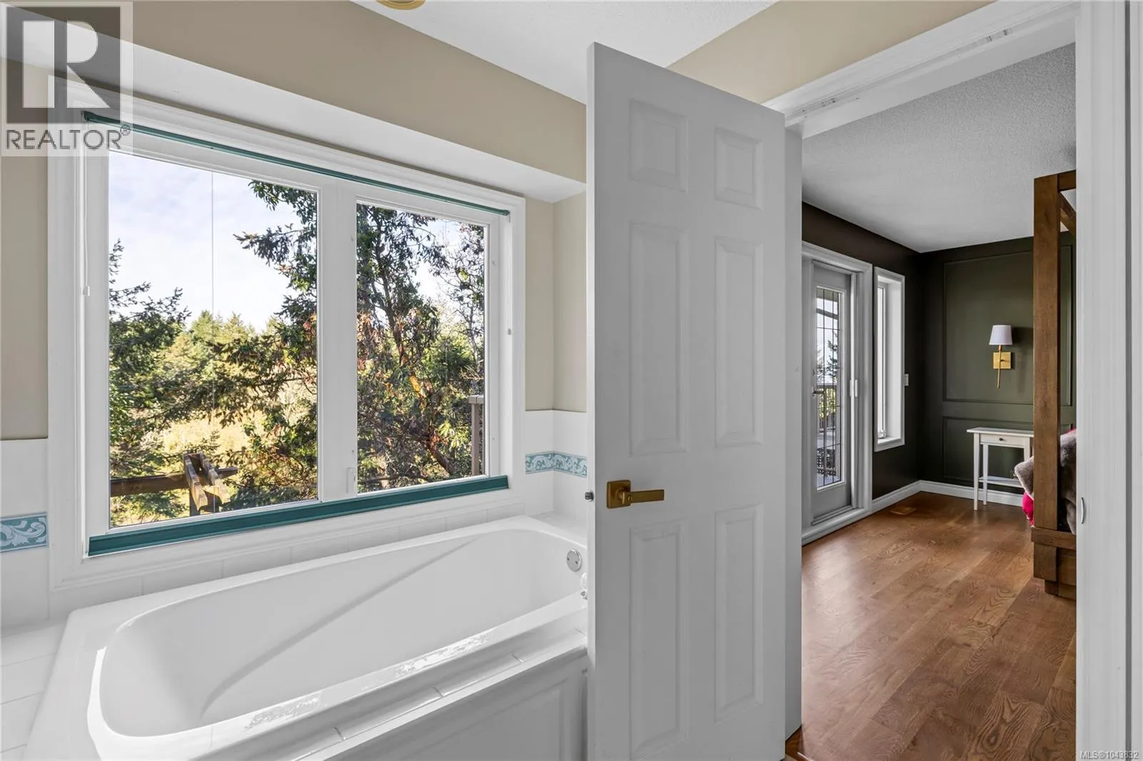 3541 Shelby Lane