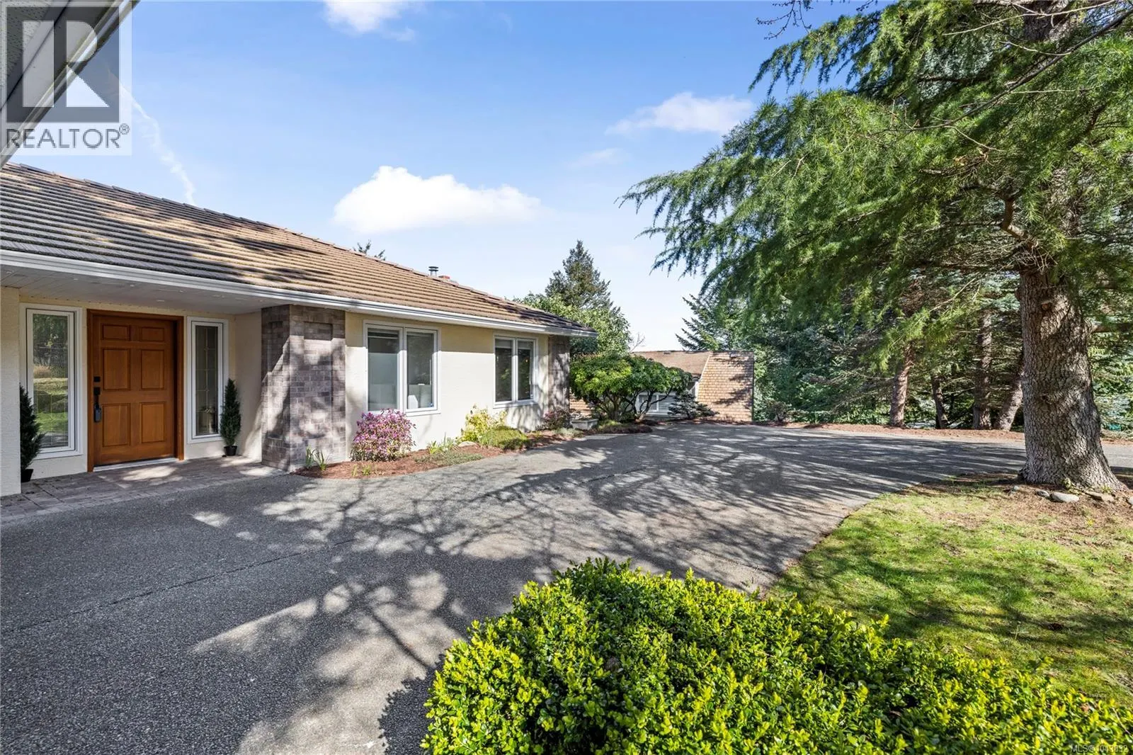 3541 Shelby Lane