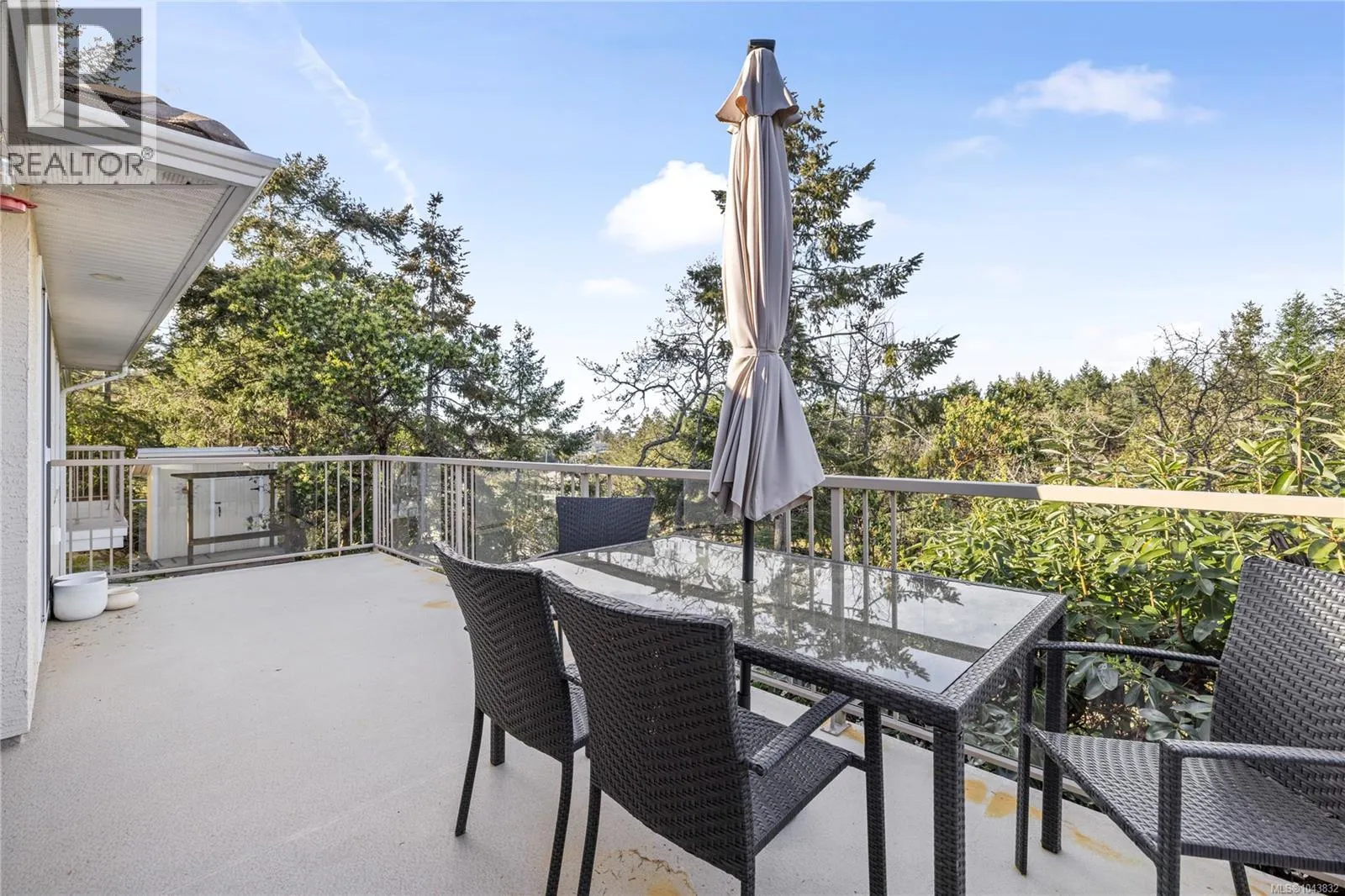 3541 Shelby Lane