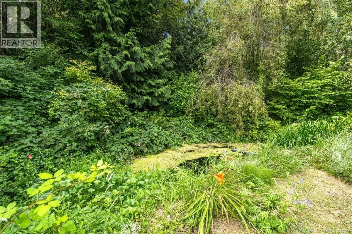 381 Dunsmuir Rd