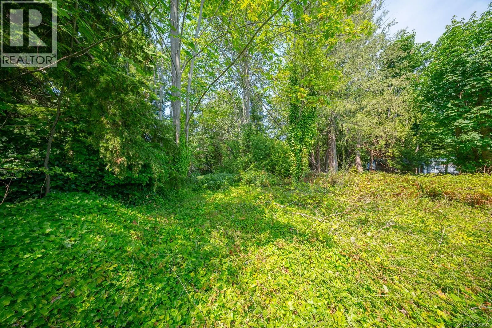 1319 Lee Rd