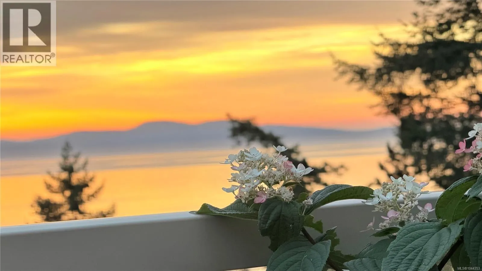 5 4771 Cordova Bay Rd
