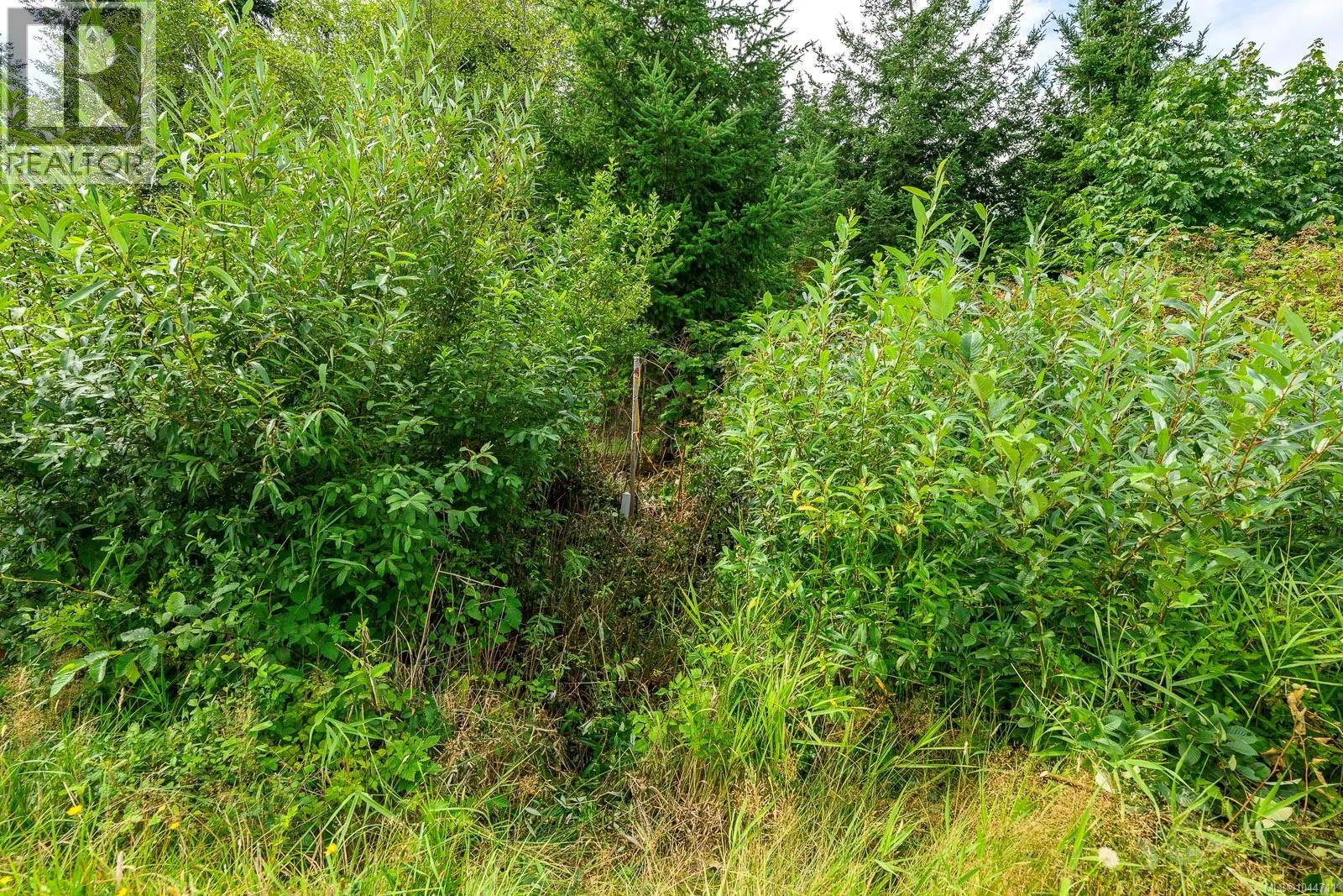 Lot 6 Eagles Dr