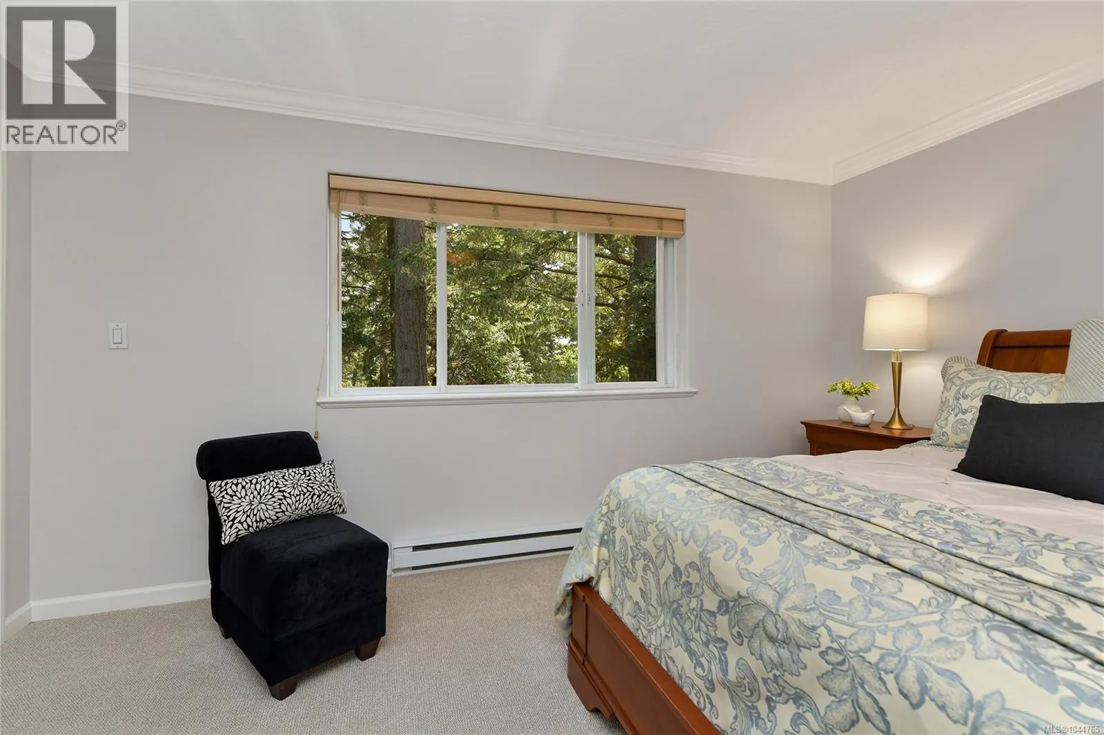 209 Shadow Ridge Pl