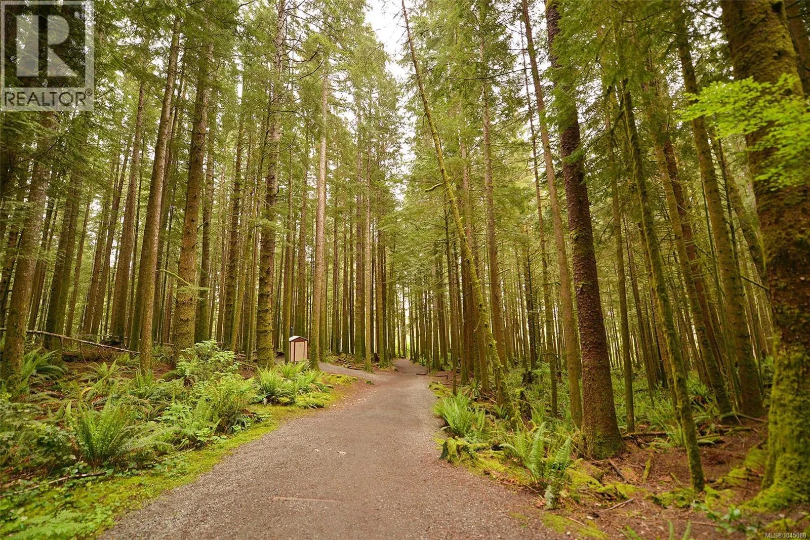 Lot D Trailhead Dr