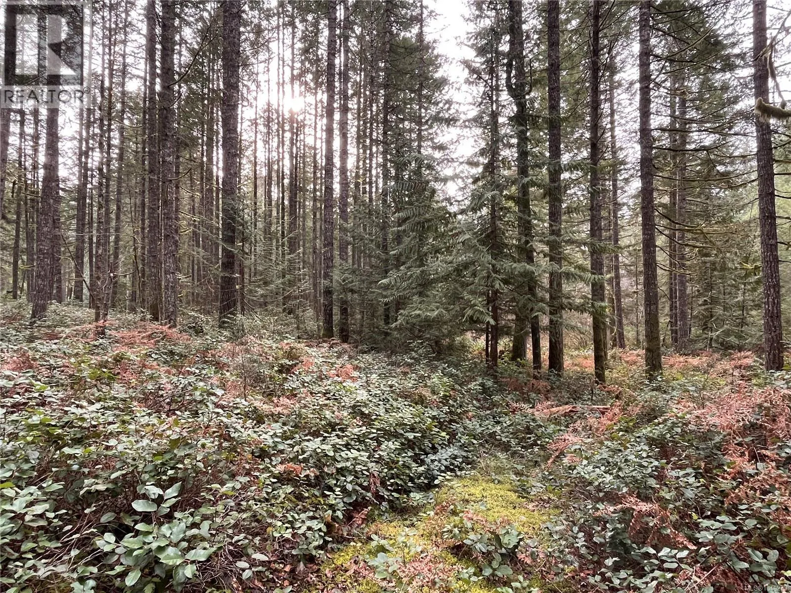 Lot 2 Walker Rd