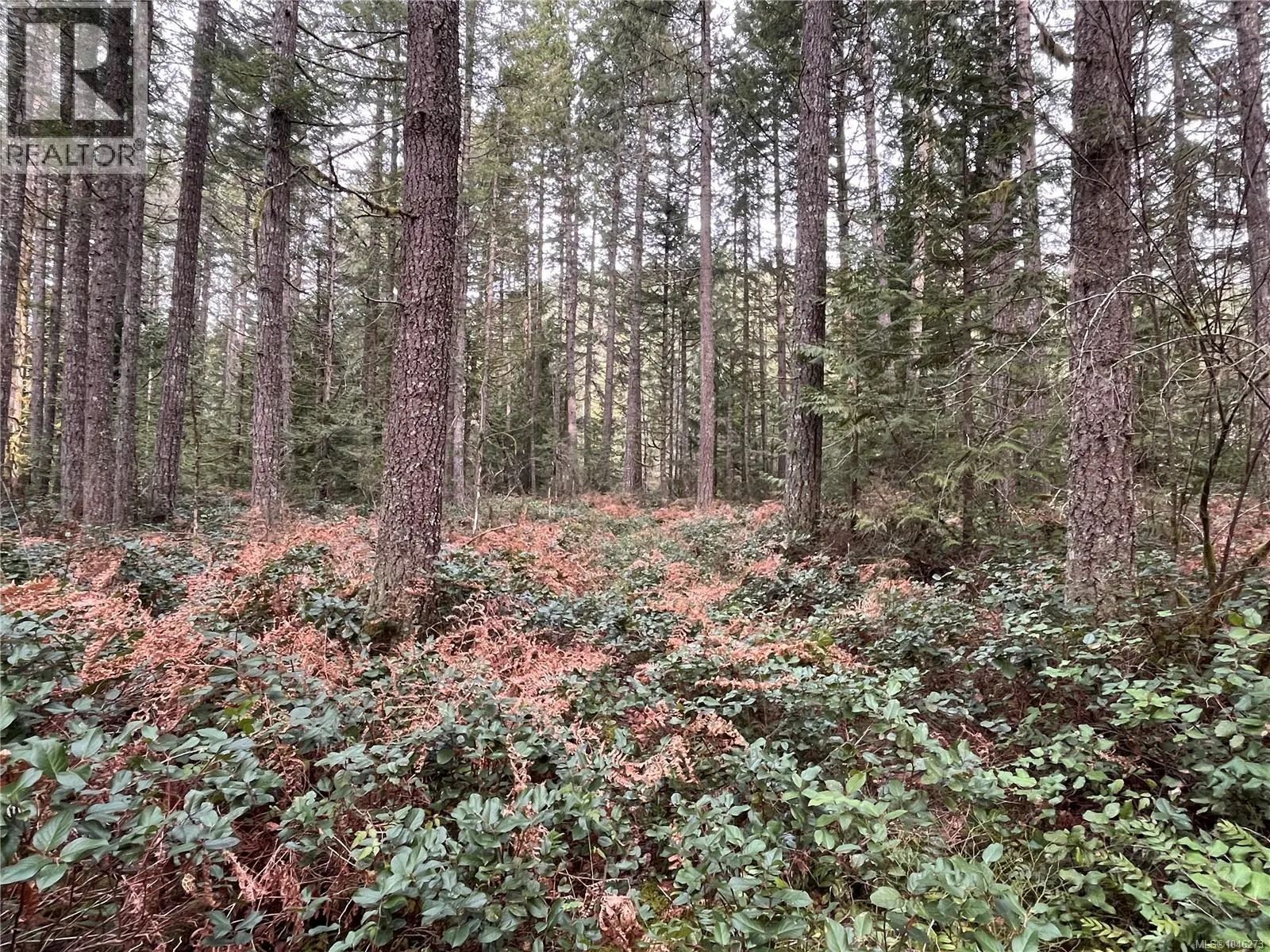 Lot 2 Walker Rd