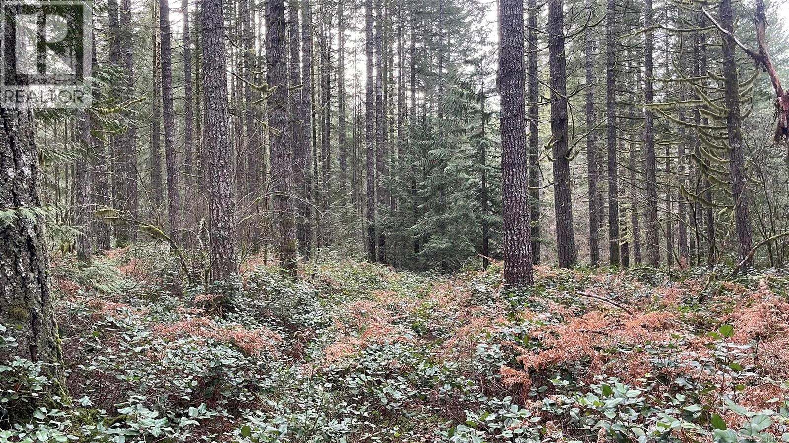 Lot 2 Walker Rd