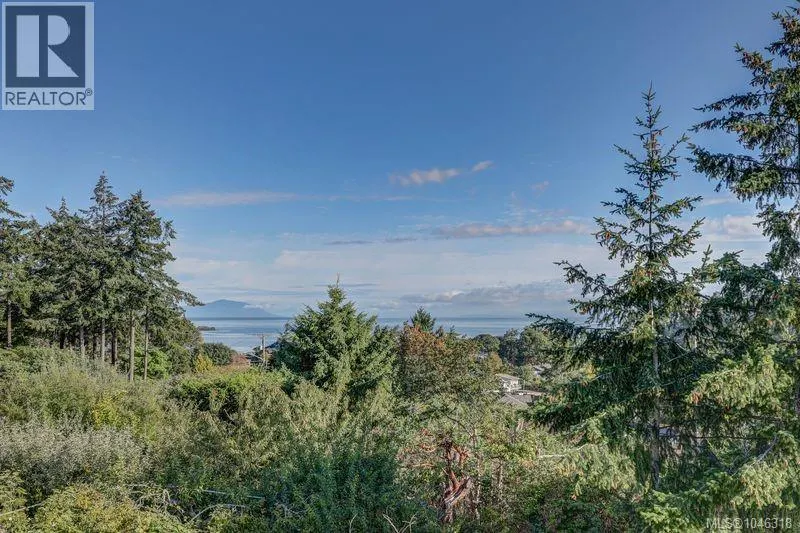 3628 Overlook Dr