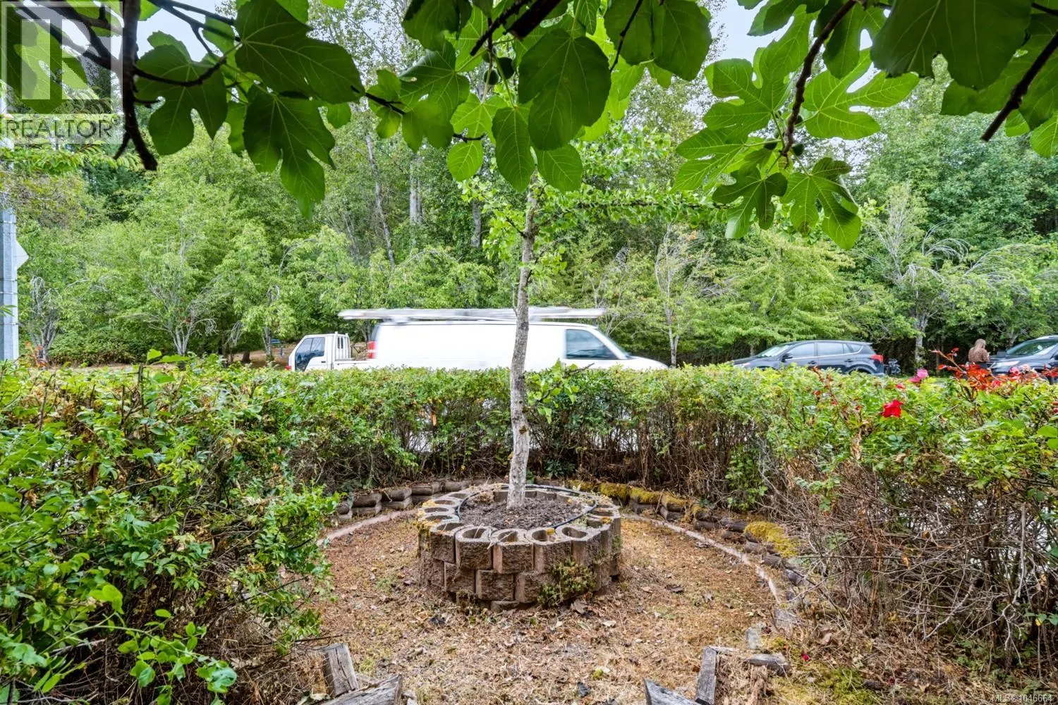1001 Timberwood Dr
