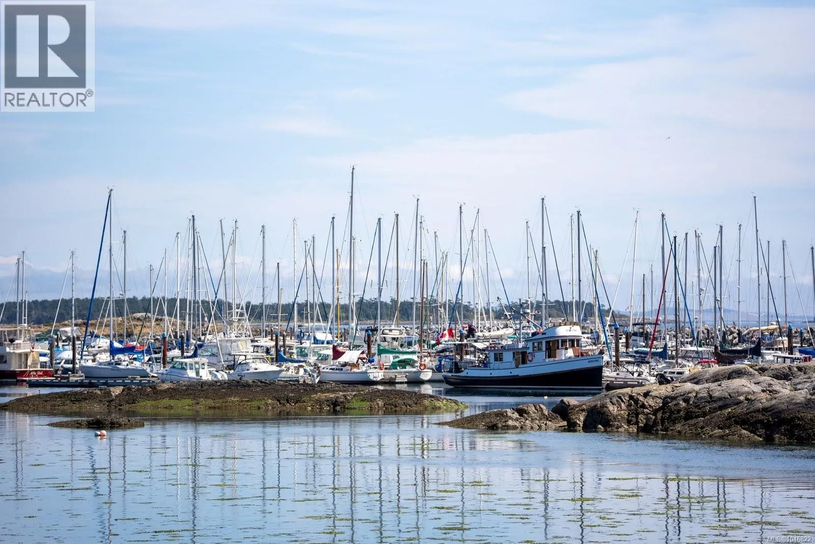 203 2277 Oak Bay Ave
