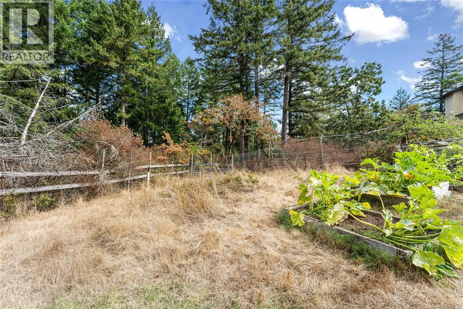 6101 Castlerock Rd