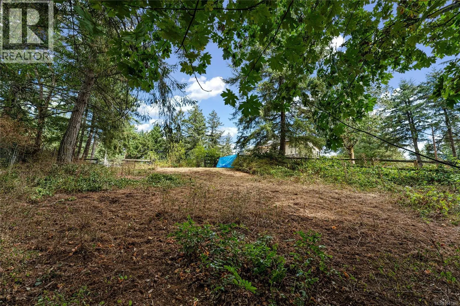 6101 Castlerock Rd