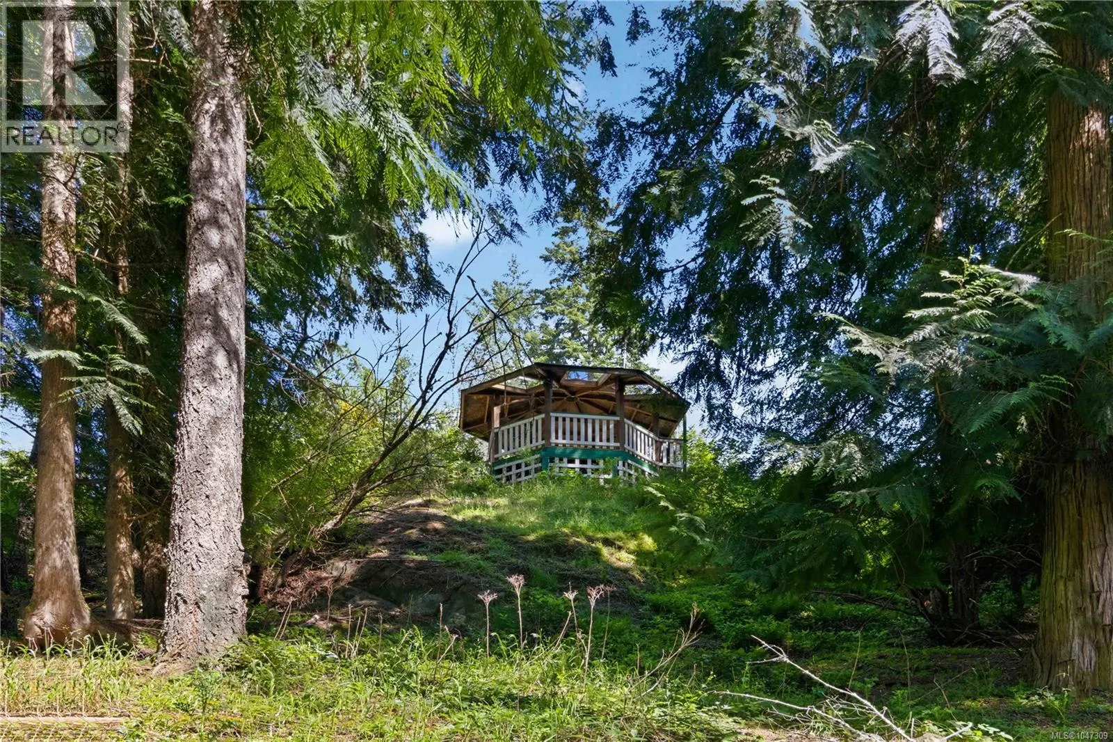 821 Seedtree Rd