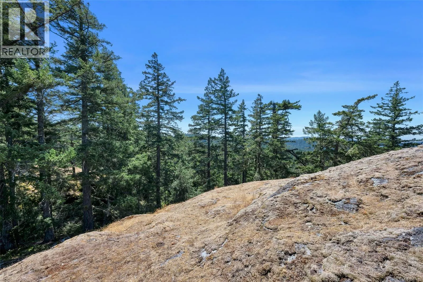 Lot 12 Cains Way