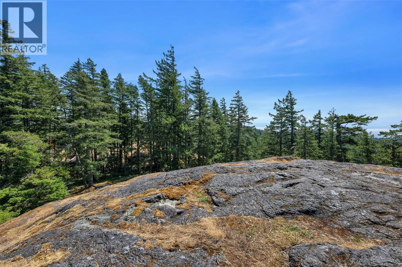 Lot 12 Cains Way