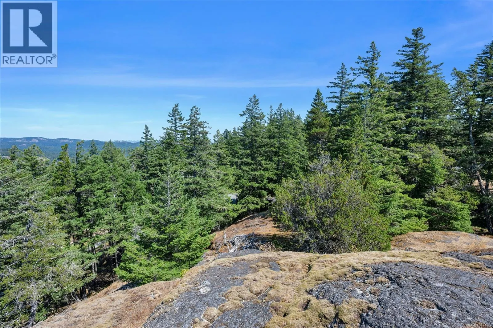 Lot 12 Cains Way