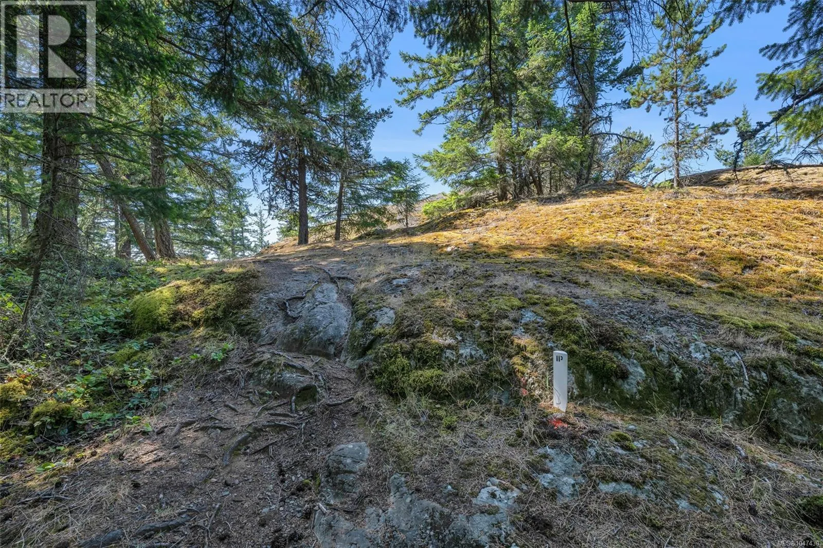 Lot 12 Cains Way