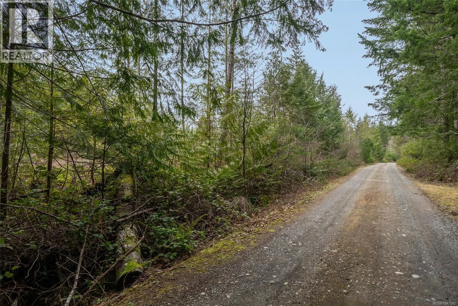 Lot 11 815 Spider Lake Rd