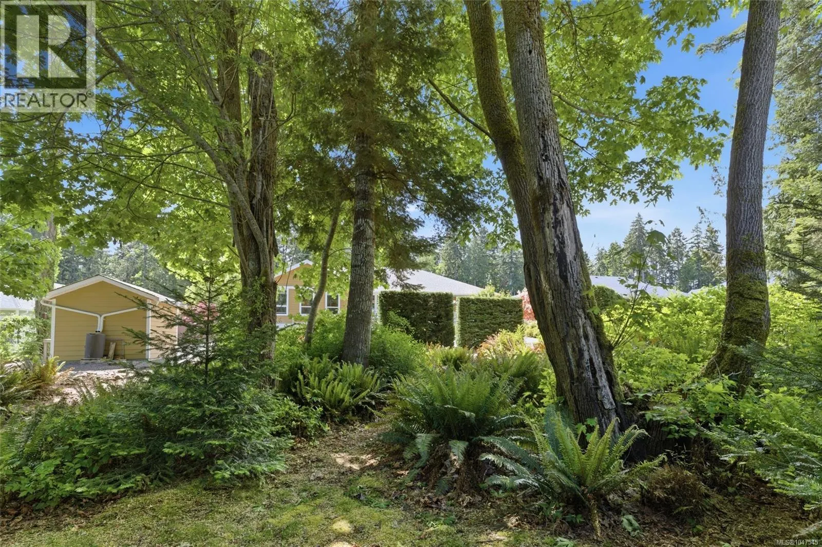 3831 Creekside Dr