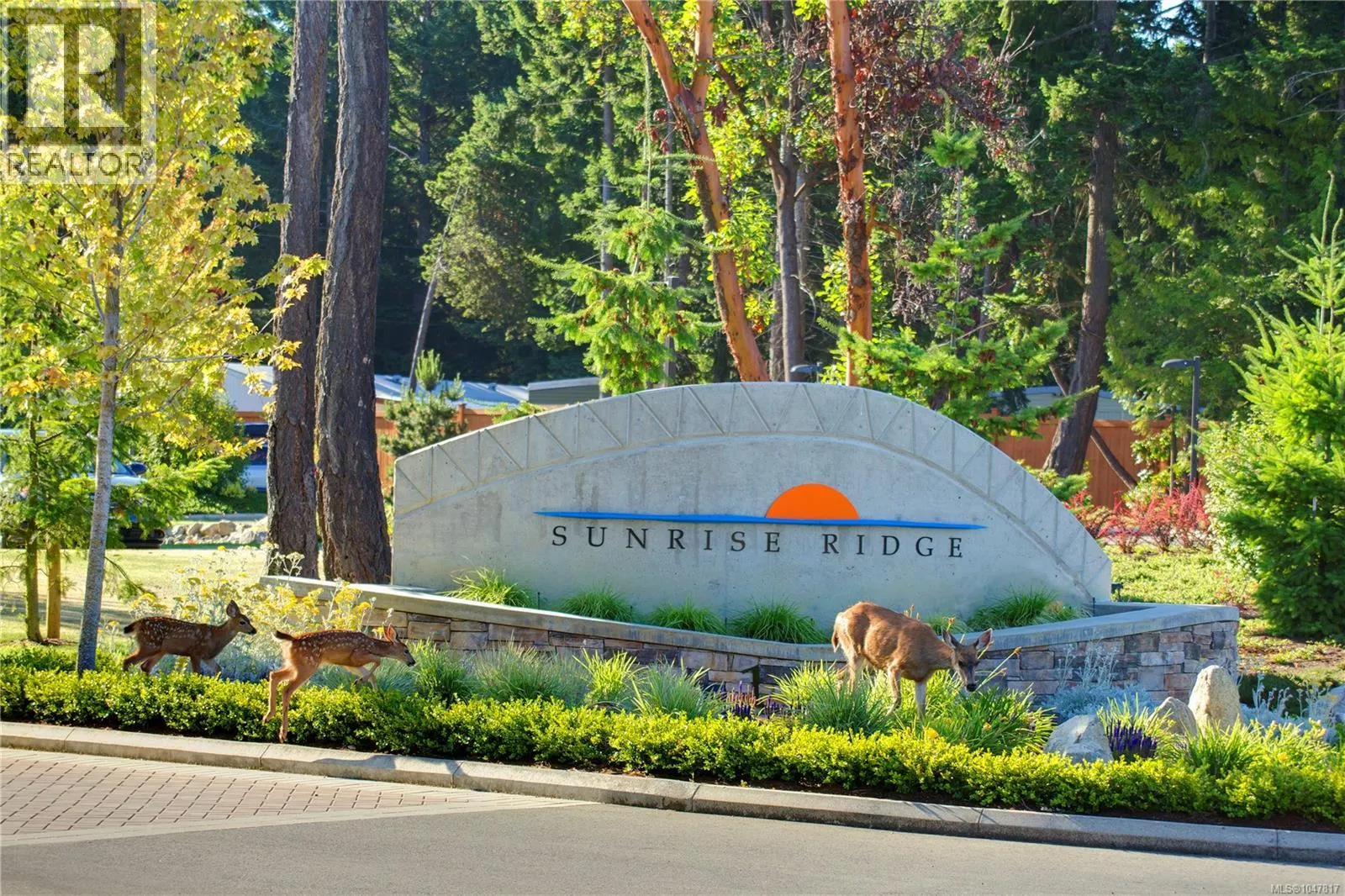 223 1175 Resort Dr