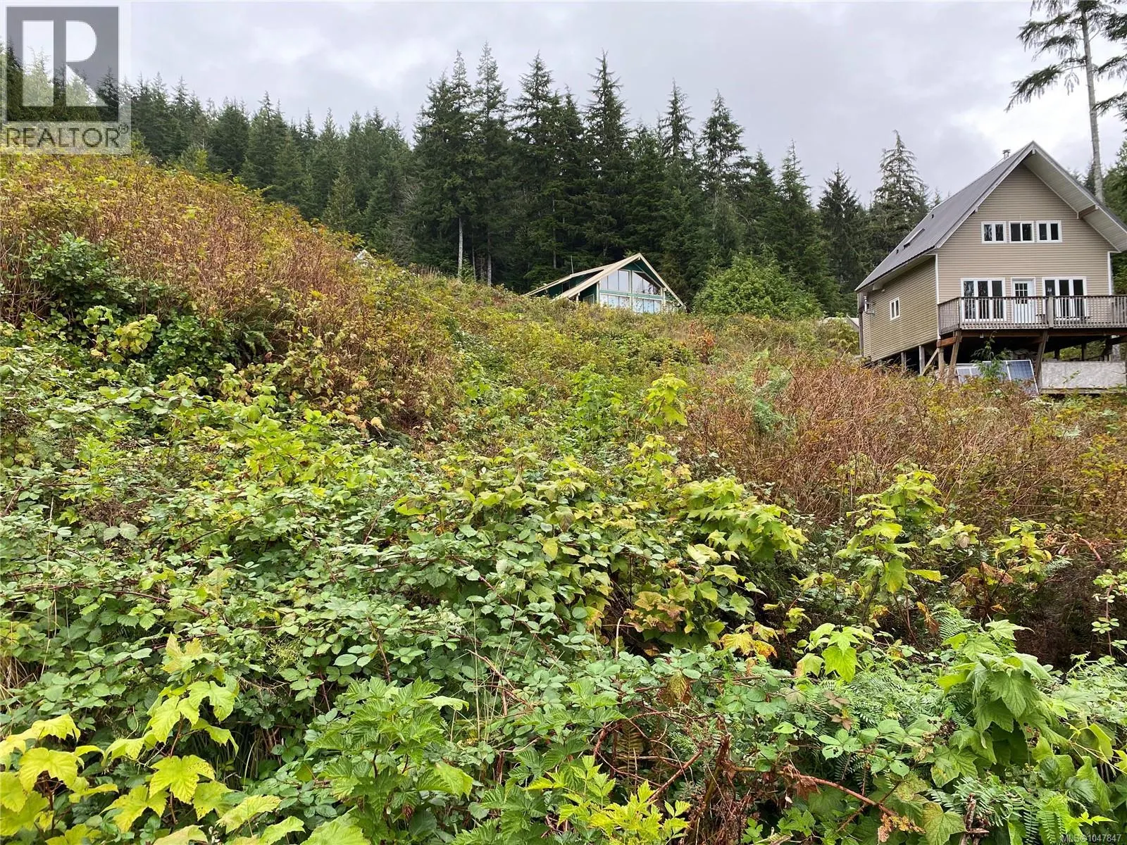 Lt 65 Haggard Cove