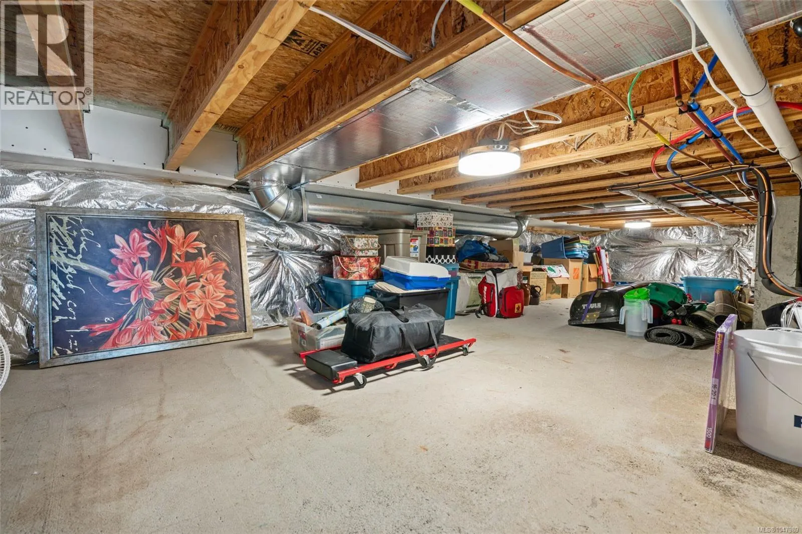 119 539 Delora Dr