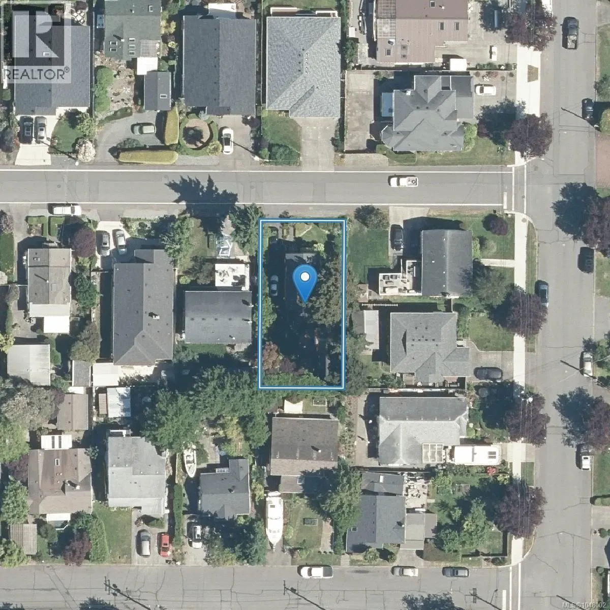 2445 Amelia Ave
