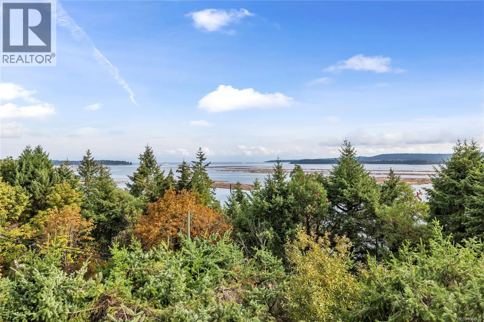 954 Highview Terr