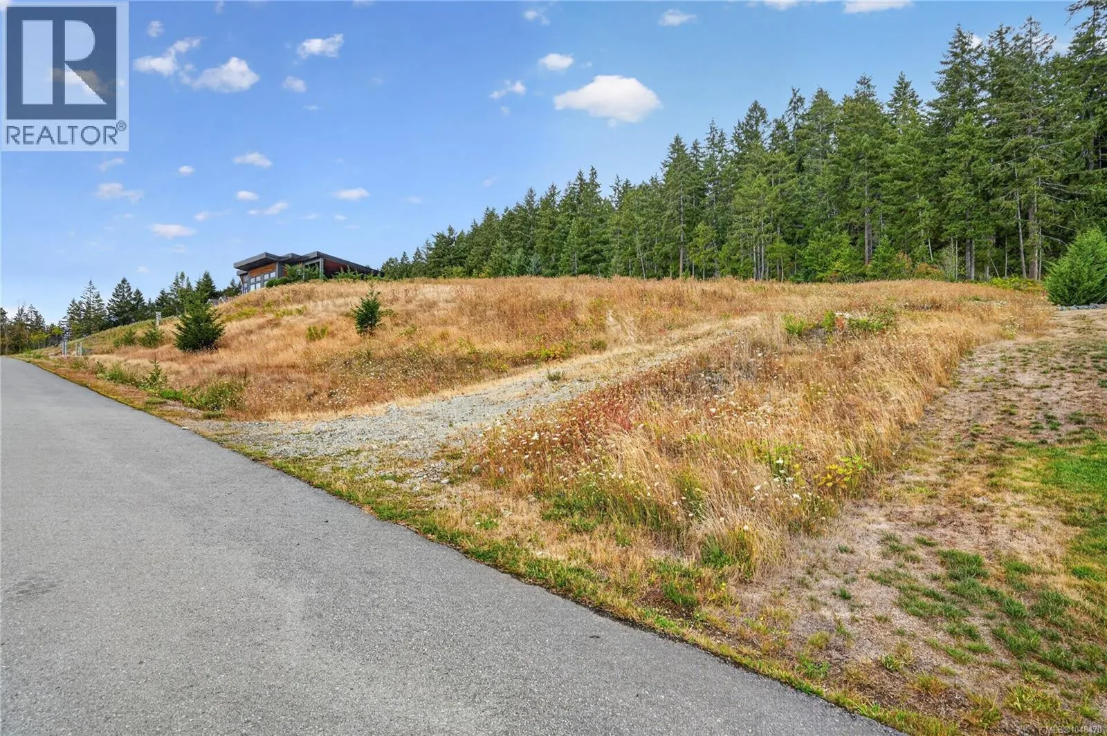 Lot 3 Chase Dr