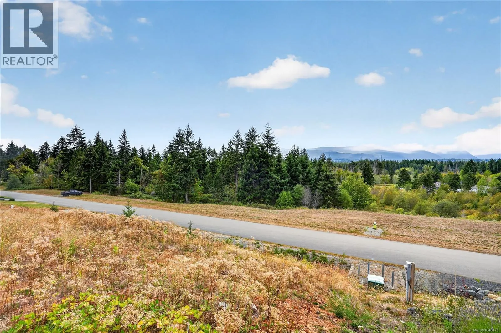 Lot 3 Chase Dr